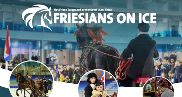 Friesians on Ice